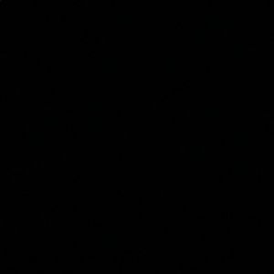 Meet your Posher, Lucy